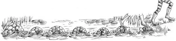 Jess and Lily followed the cat hopping across the turtles backs to the - фото 11