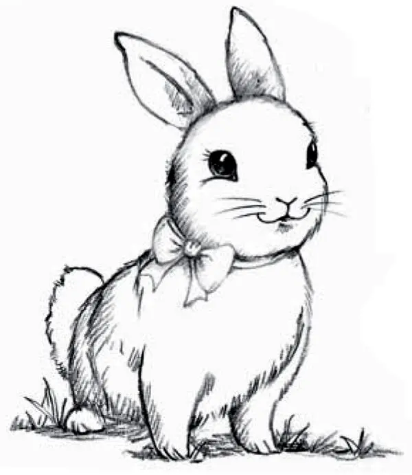 Im Lucy Longwhiskers the rabbit said in a rush Youre really tall How - фото 15