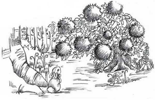 Lily and Jess followed Lucys gaze Growing beside the cave was a bush as tall - фото 18