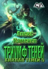 Алекс Каменев - Триумф Теней