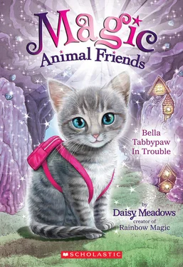 Daisy Meadows Bella Tabbypaw in Trouble обложка книги