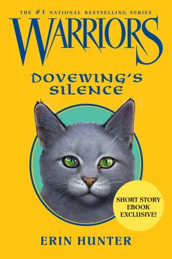 Erin Hunter Dovewing’s Silence обложка книги
