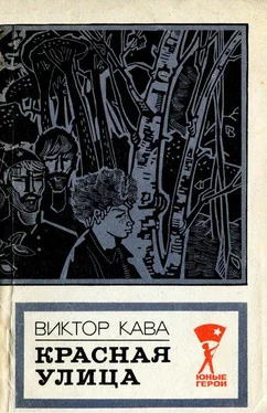 Виктор Кава Красная улица обложка книги