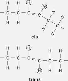 So what if the hydrogen atoms do switch from the cis to the trans positions - фото 10