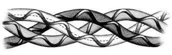The triplehelix structure of a collagen molecule In the presence of heat and - фото 20