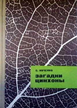 Сергей Ивченко Загадки цинхоны обложка книги