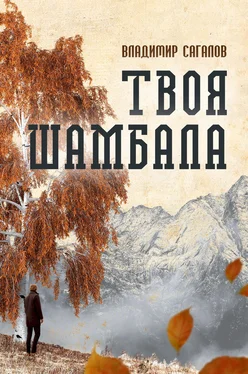 Владимир Сагалов Твоя Шамбала обложка книги