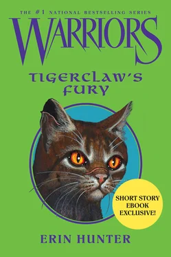 Erin Hunter Tigerclaw’s Fury обложка книги