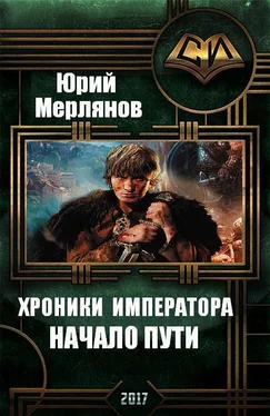 Юрий Мерлянов Хроники императора. Начало пути (СИ) обложка книги