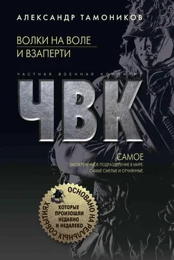 Александр Тамоников Волки на воле и взаперти обложка книги