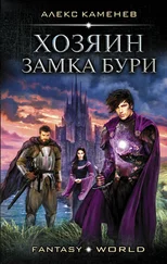 Алекс Каменев - Хозяин Замка Бури