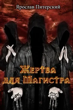 Ярослав Питерский Жертва для магистра [СИ] обложка книги