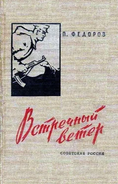 Павел Федоров Встречный ветер обложка книги