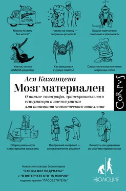 Ася Казанцева Мозг материален обложка книги