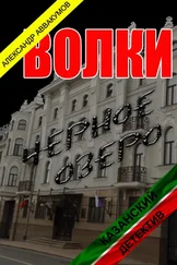 Алексадр Аввакумов - Волки