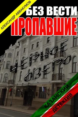 Александр Аввакумов Без вести пропавшие обложка книги