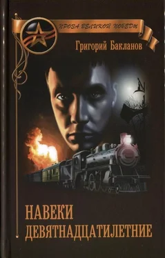 Григорий Бакланов Навеки девятнадцатилетние (сборник) обложка книги