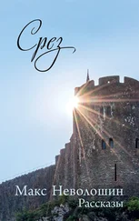 Макс Неволошин - Срез