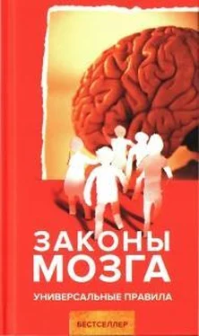 Андрей Курпатов Законы мозга. Универсальные правила обложка книги