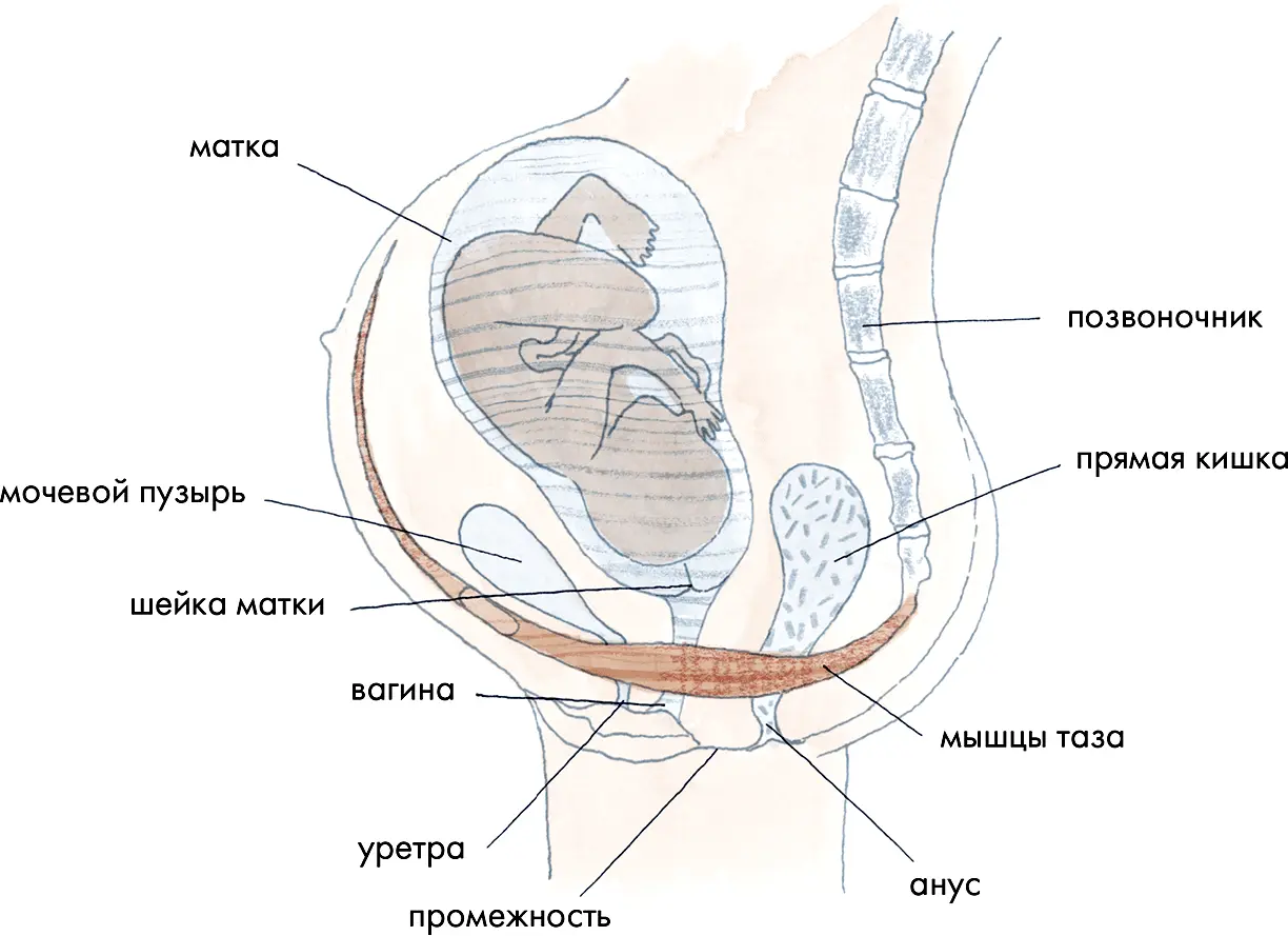 Где же лучше рожать Может показаться что несколько рановато начинать - фото 15