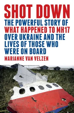 Marianne van Velzen Shot Down обложка книги