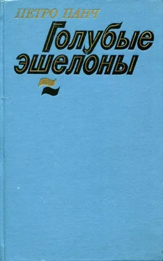 Пётр Панч Голубые эшелоны обложка книги