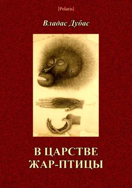 Владас Дубас В царстве жар-птицы обложка книги