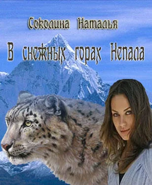 Наталья Соколина В снежных горах Непала [СИ] обложка книги