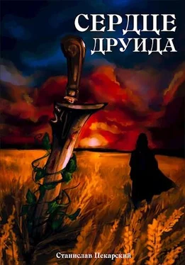 Станислав Пекарский Сердце друида [СИ] обложка книги