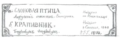 Тут он был с отцом Значит это не сон Прямо перед ним под надписью Выход - фото 49
