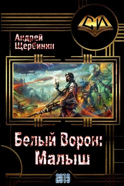 Андрей Щербинин Белый Ворон: Малыш [СИ] обложка книги