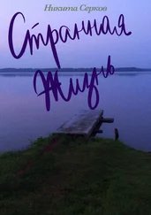 Никита Серков - Странная жизнь