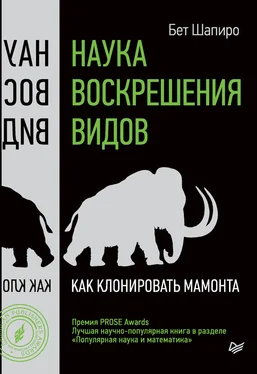 Бет Шапиро Наука воскрешения видов. Как клонировать мамонта обложка книги