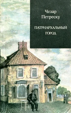 Чезар Петреску Патриархальный город обложка книги