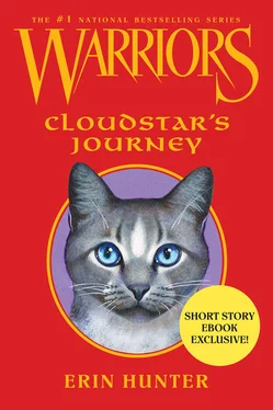 Erin Hunter Cloudstar’s Journey обложка книги