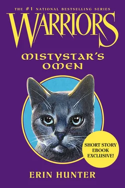 Erin Hunter Mistystar’s Omen обложка книги