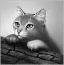 But youve been our medicine cat for so long Have you never walked with - фото 6