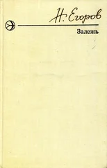Николай Егоров - Залежь