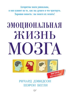 Ричард Дэвидсон Эмоциональная жизнь мозга обложка книги