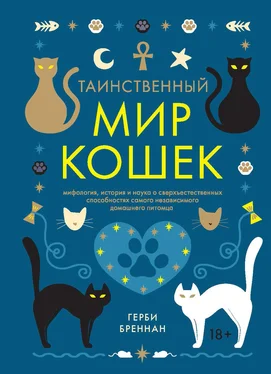 Герби Бреннан Таинственный мир кошек обложка книги