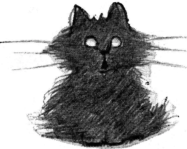 Почему же мы так любим кошек Иллюстрация Оливера Херфорда Vostock Photo - фото 1