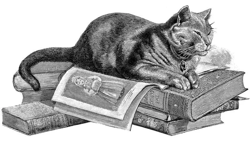 Кошка лежащая на книгах Иллюстрация из книги ReadytoUse OldFashioned Cat - фото 8