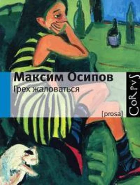 Максим Осипов Свента обложка книги