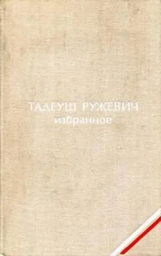 Тадеуш Ружевич Избранное обложка книги