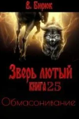 В Бирюк - Обмасонивание [СИ]