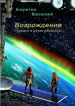 Василий Биратко Возрождение, или Граната в руках обезьяны [СИ] обложка книги