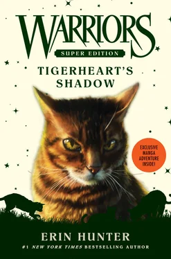 Эрин Хантер Tigerheart’s Shadow обложка книги