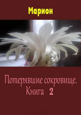 Марион Потерявшие сокровище. Книга 2 [СИ] обложка книги