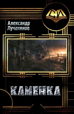 Александр Лучанинов Каменка [СИ] обложка книги