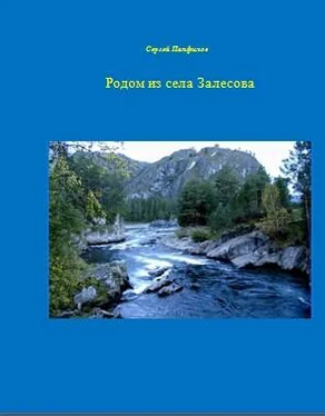 Сергей Панфилов Родом из села Залесова. обложка книги